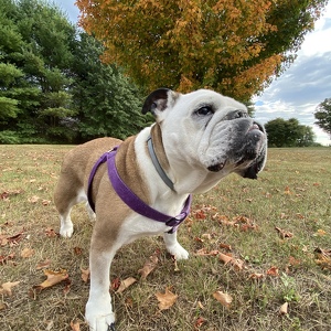 Fundraising Page: Mia Saracino